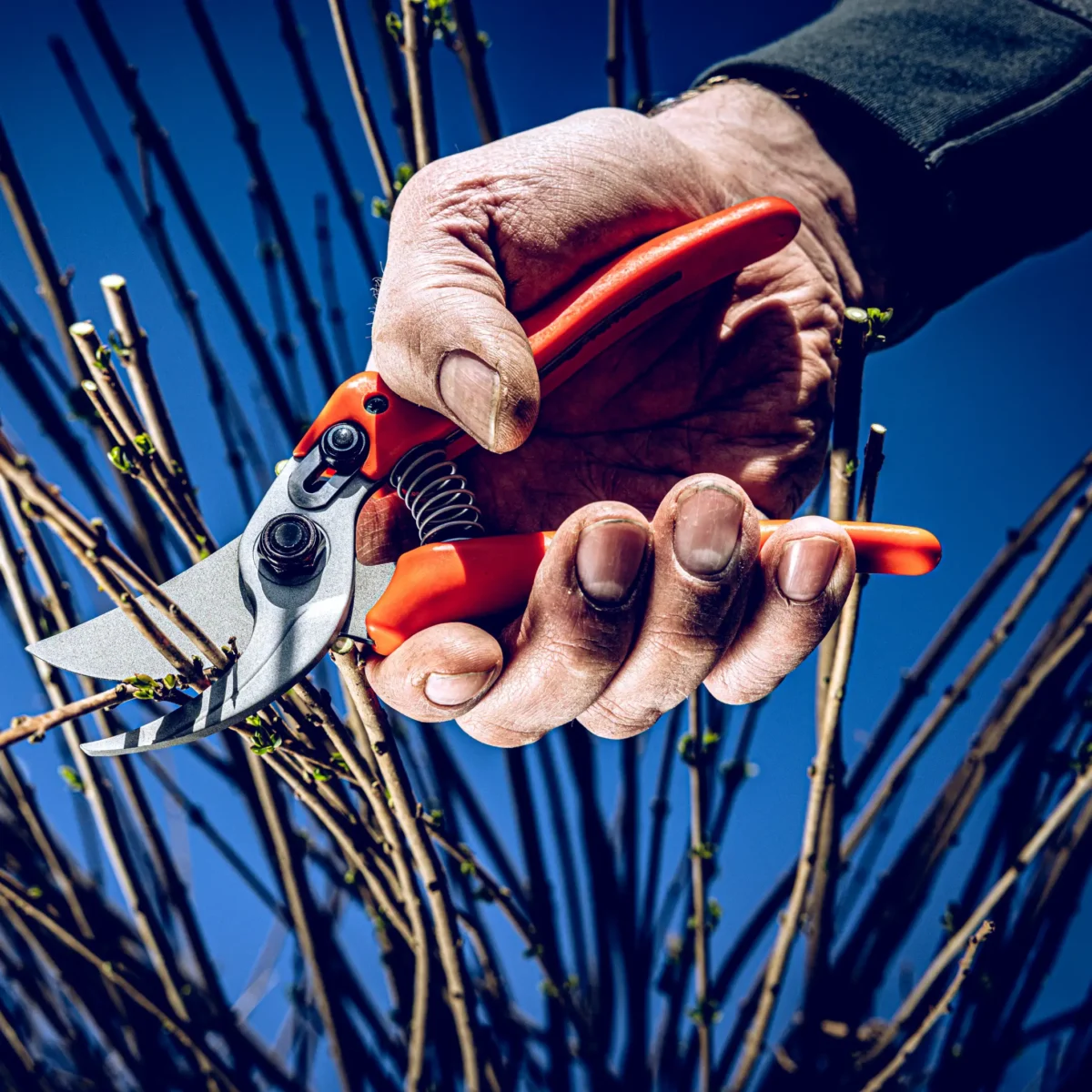 Tuinschaar Löwe 14.107 Economic Clean Cut voor kleinere handen