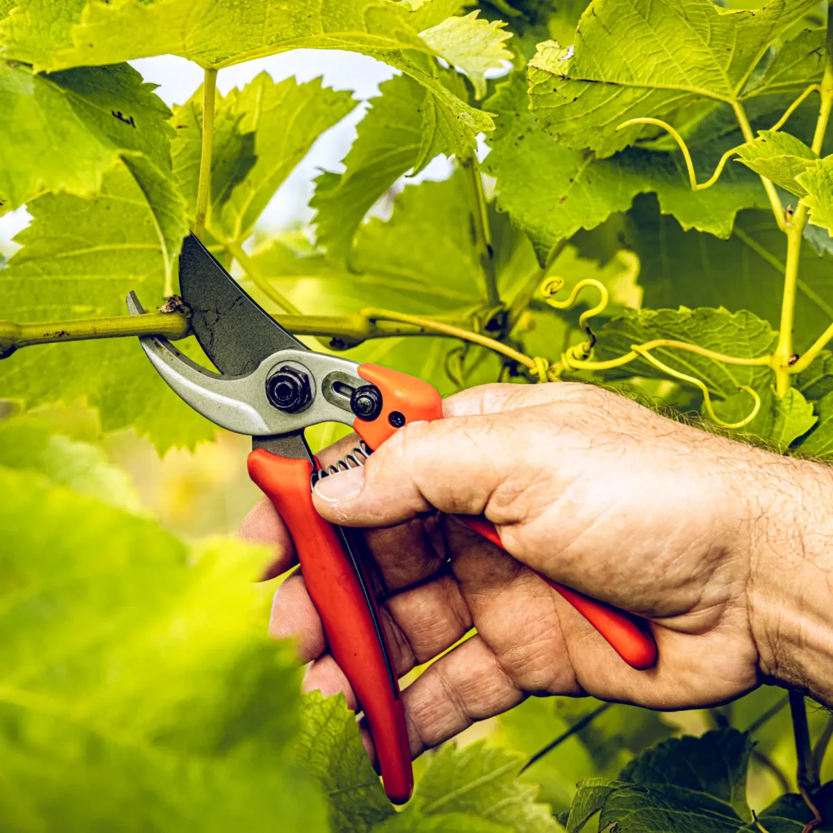 Tuinschaar Löwe 14.104 Economic Clean Cut