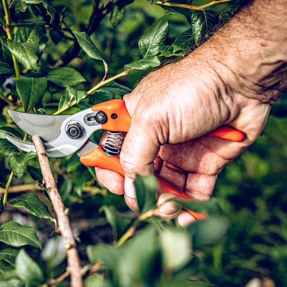 Tuinschaar Löwe 14.107 Economic Clean Cut voor kleinere handen
