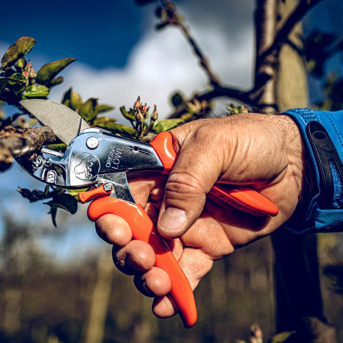 Werkplaatsschaar Löwe 2.107 Verstelbare greepbreedte Handgreep voor kleinere handen