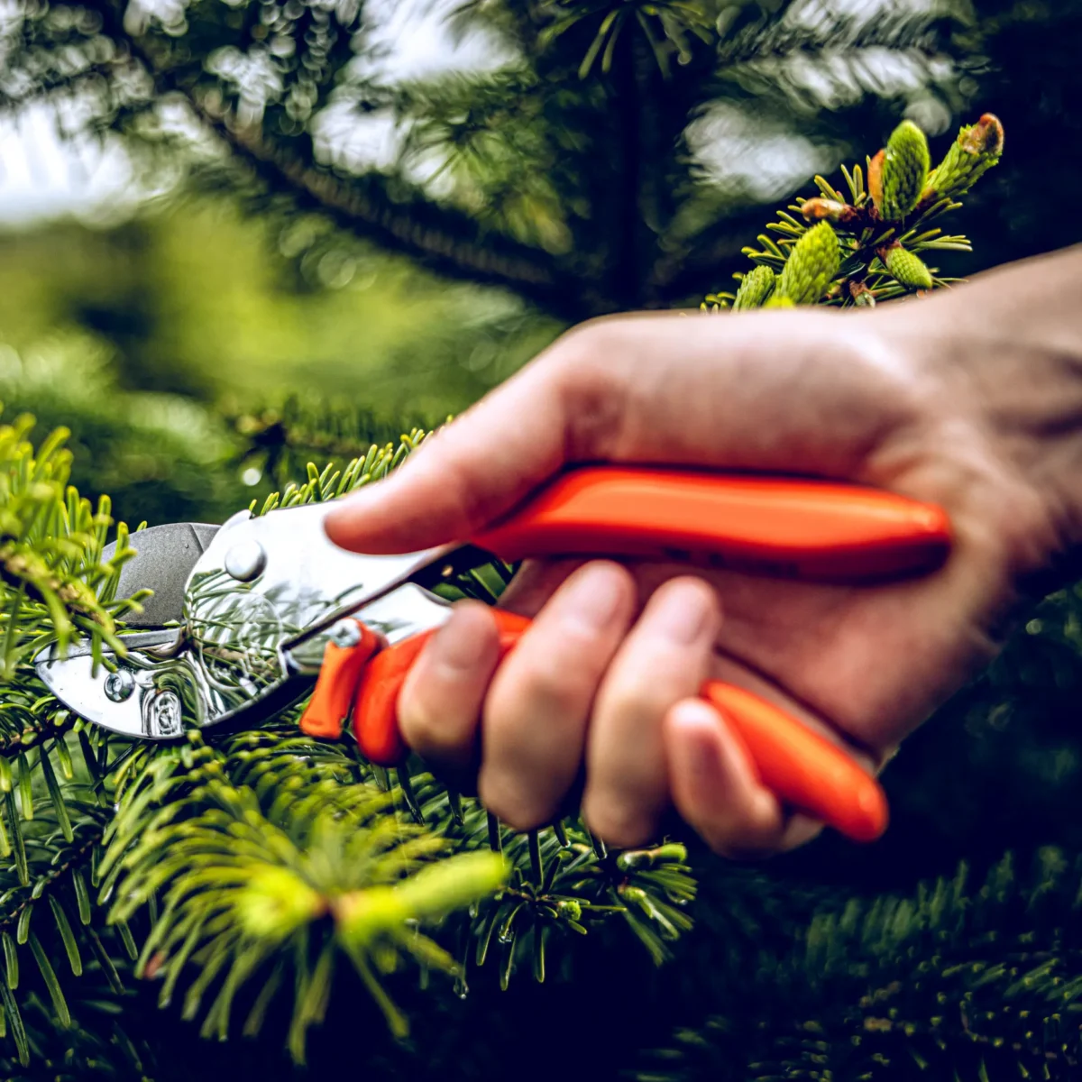 Werkplaatsschaar Löwe 2.107 Verstelbare greepbreedte Handgreep voor kleinere handen