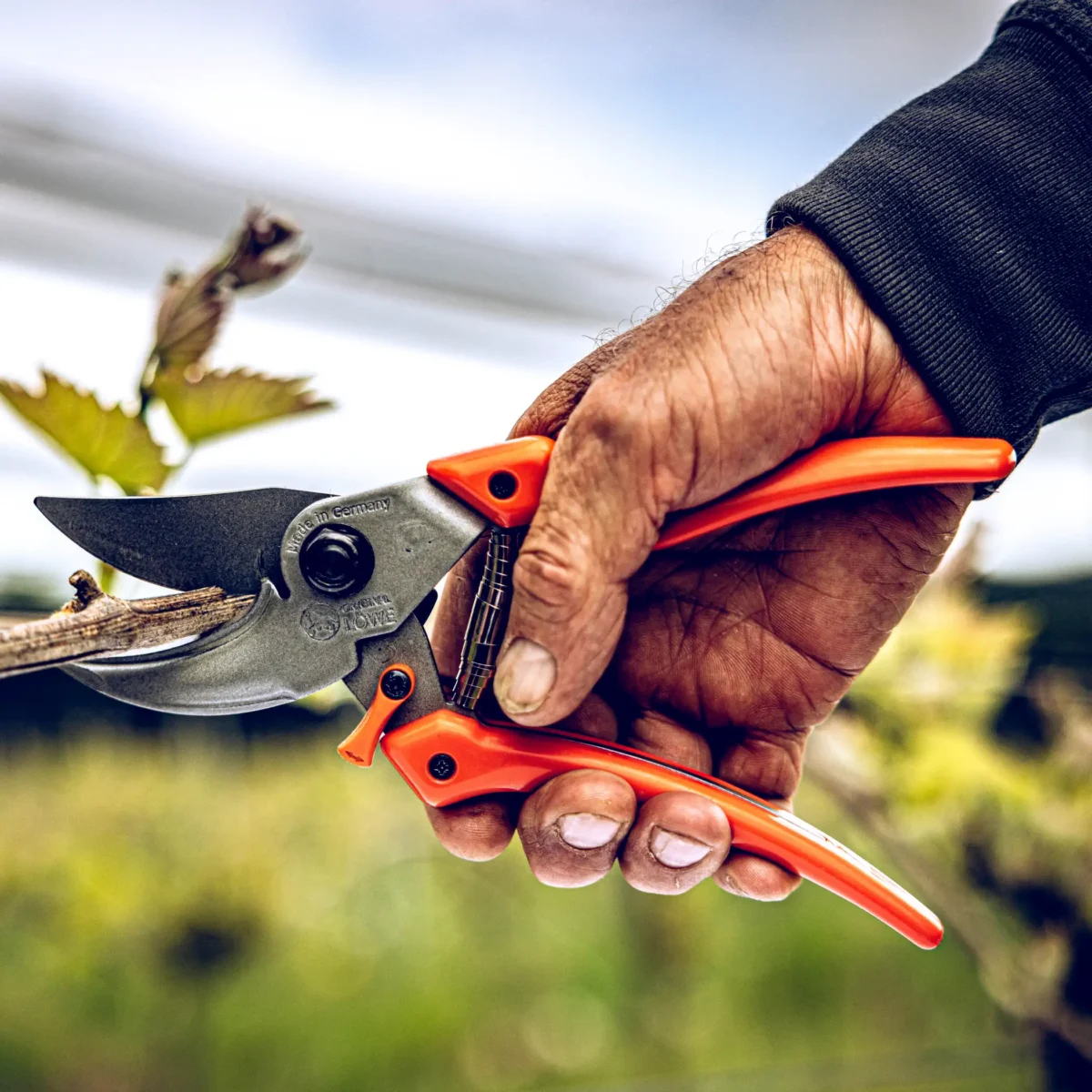 Tuinschaar Löwe 9.107 Bypass Professional Clean Cut