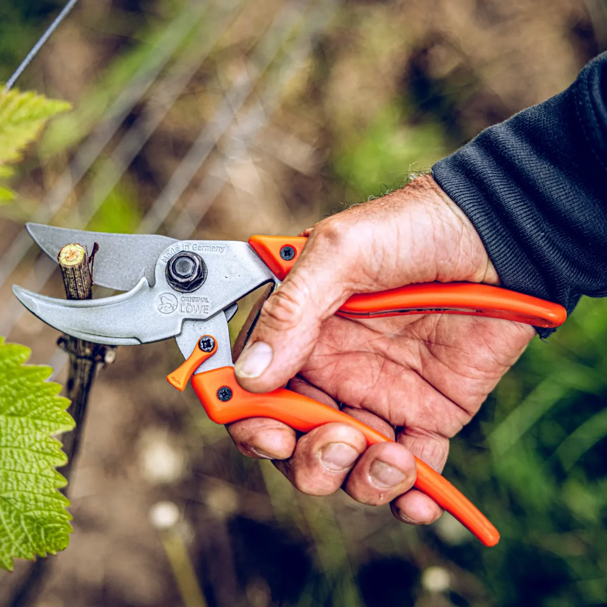 Tuinschaar Löwe 9.107 Bypass Professional Clean Cut