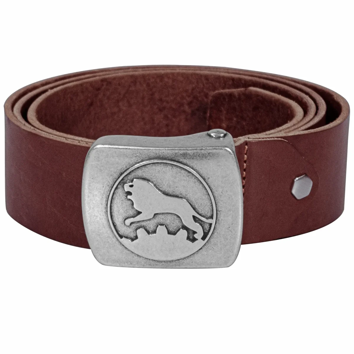 Leeuw riem
