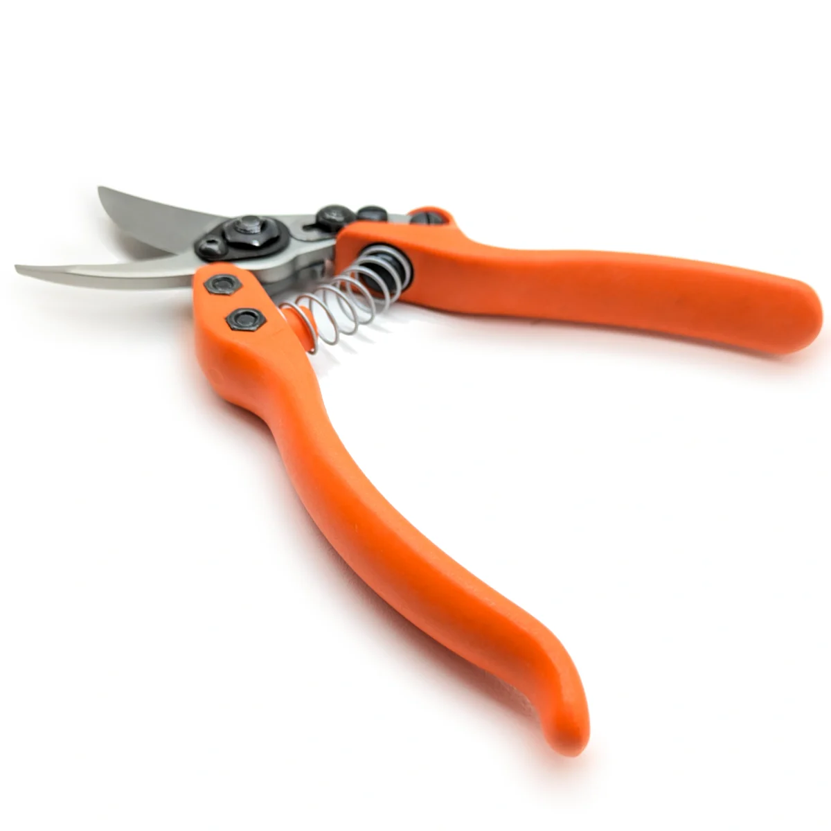 Löwe 12 Precision Clean Cut kleine snoeischaar voor dames