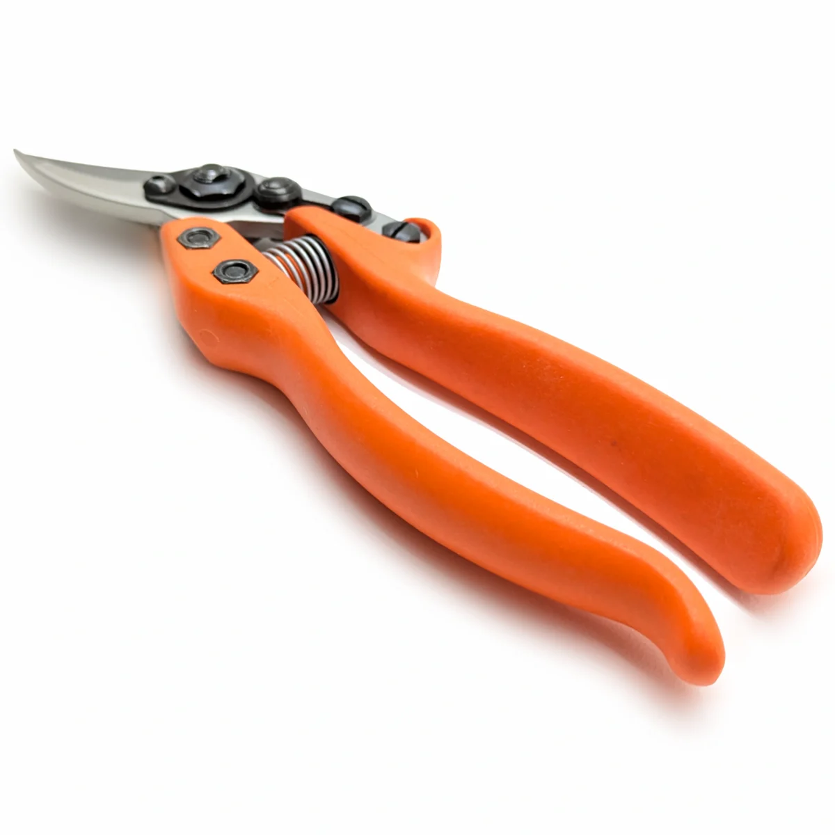 Löwe 12 Precision Clean Cut kleine snoeischaar voor dames