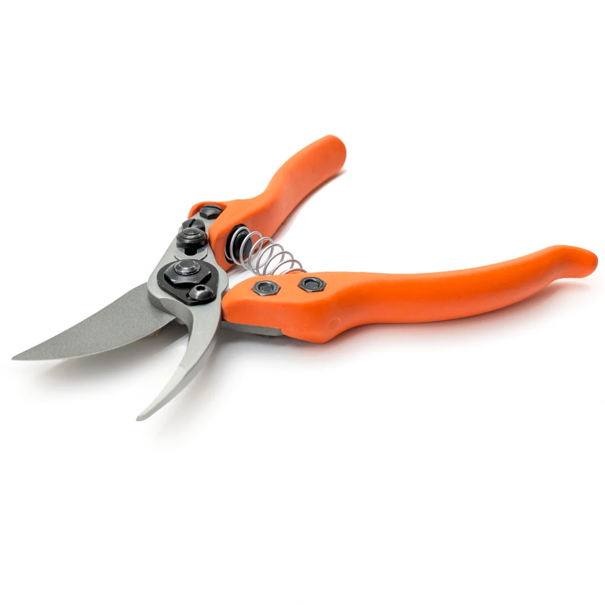 Löwe 12 Precision Clean Cut kleine snoeischaar voor dames