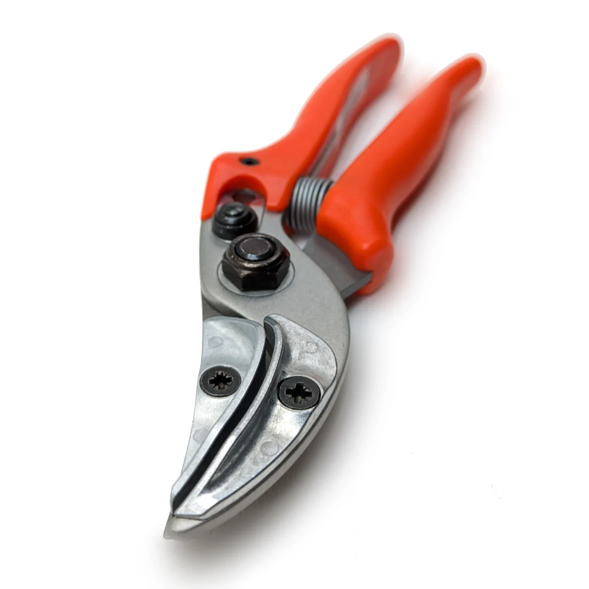 Originele Löwe rozen presentatieschaar