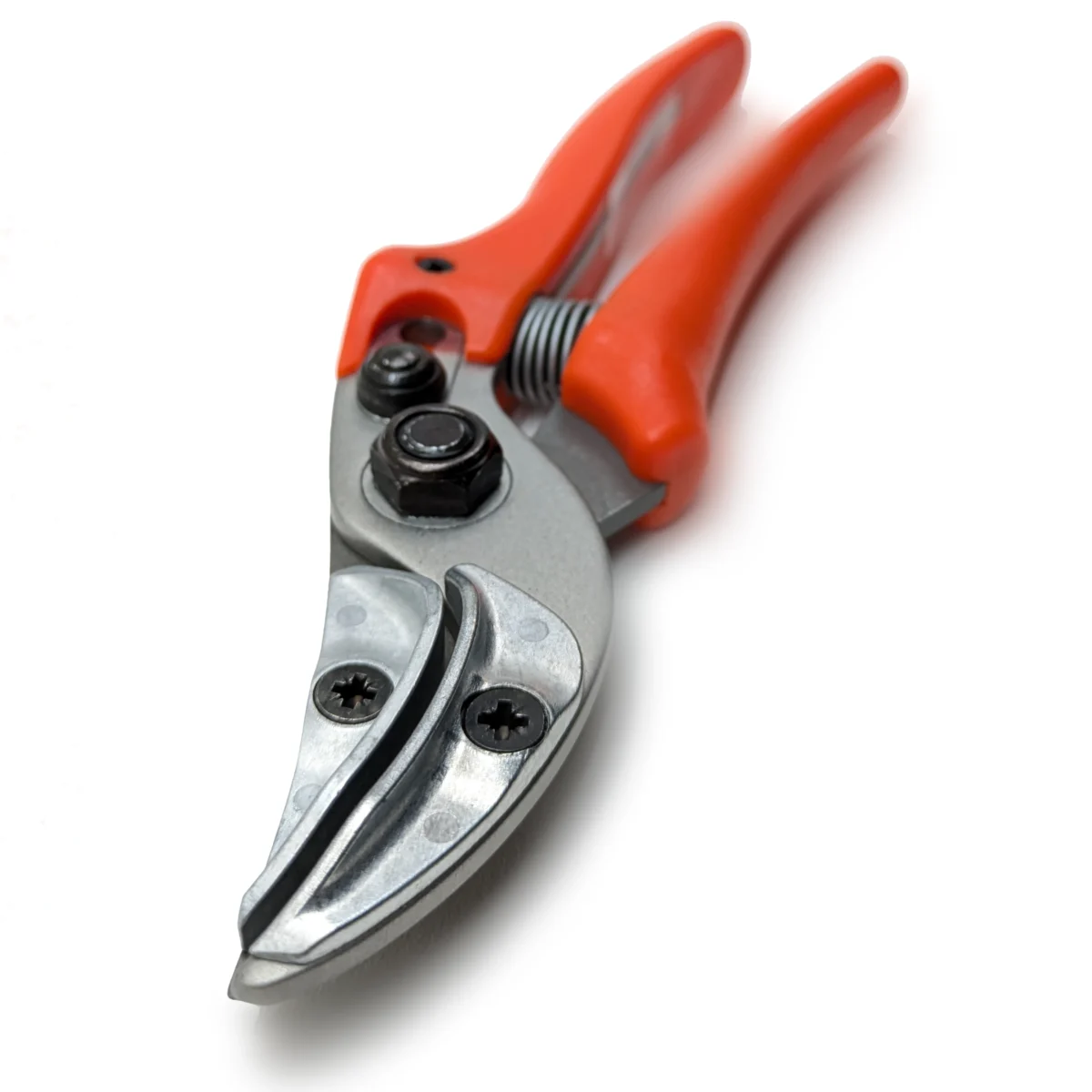 Originele Löwe rozen presentatieschaar